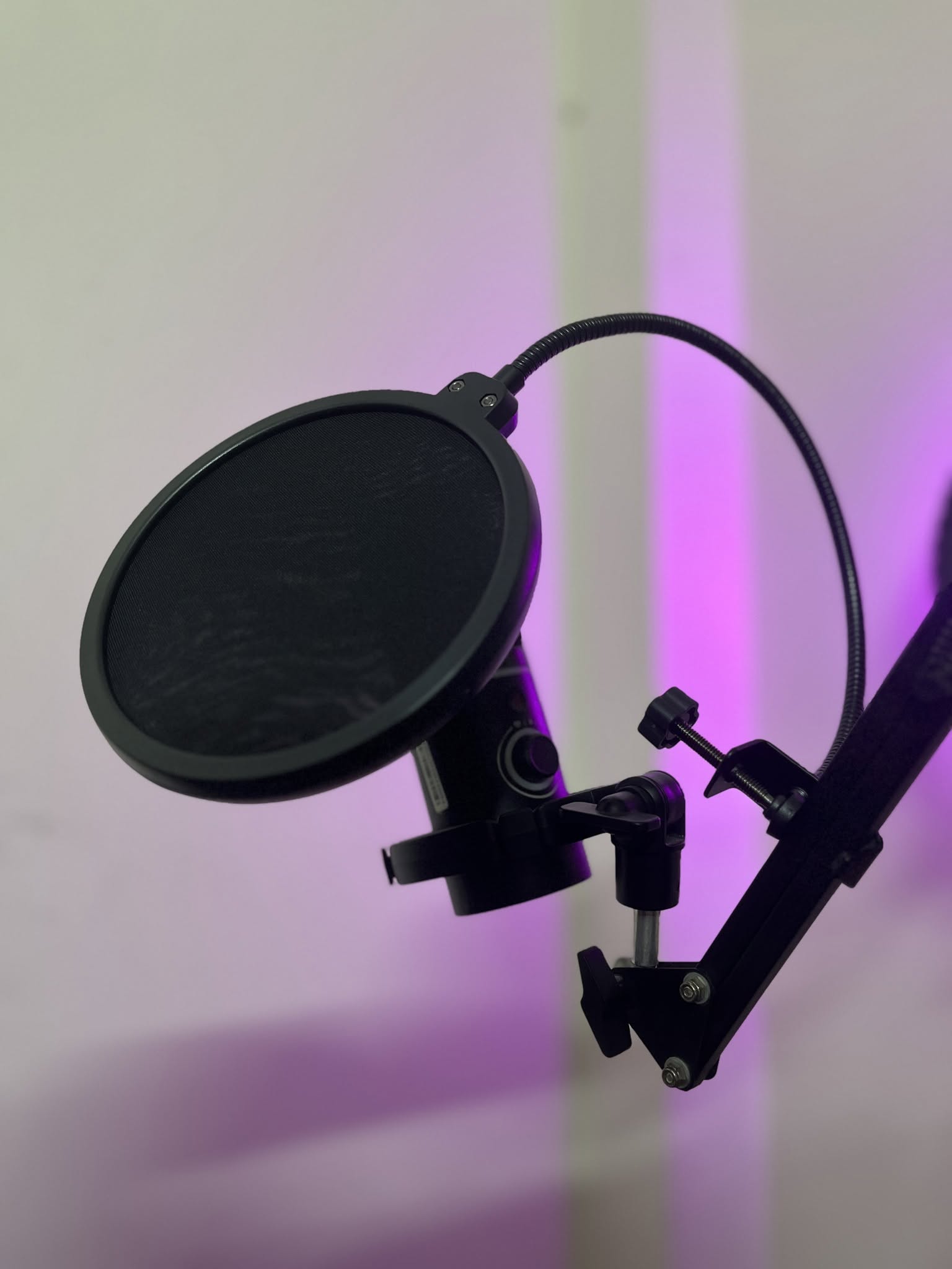 Studio Microphone Pop Filter Shield