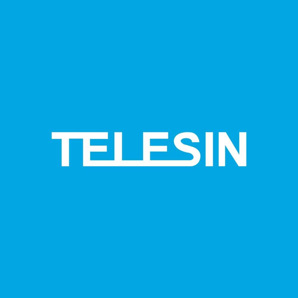 Telesin