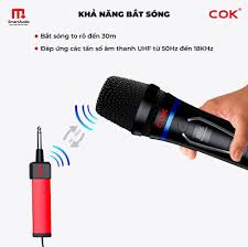 COK 1100 Multi-function Wireless Karaoke Microphones